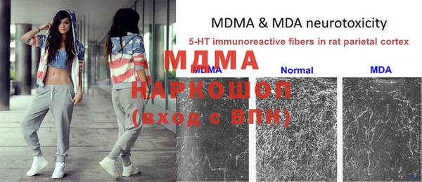 ECSTASY Магас