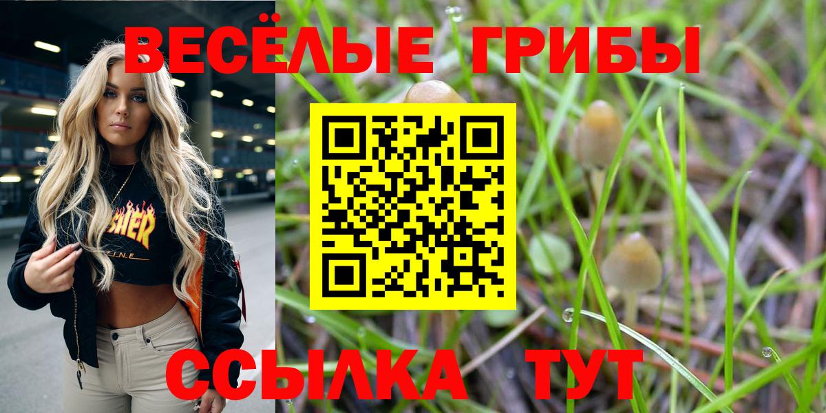 Карасук  Псилоцибиновые грибы Magic Shrooms  Галлюциногенные грибы Psilocybine cubensis  Вход с VPN 